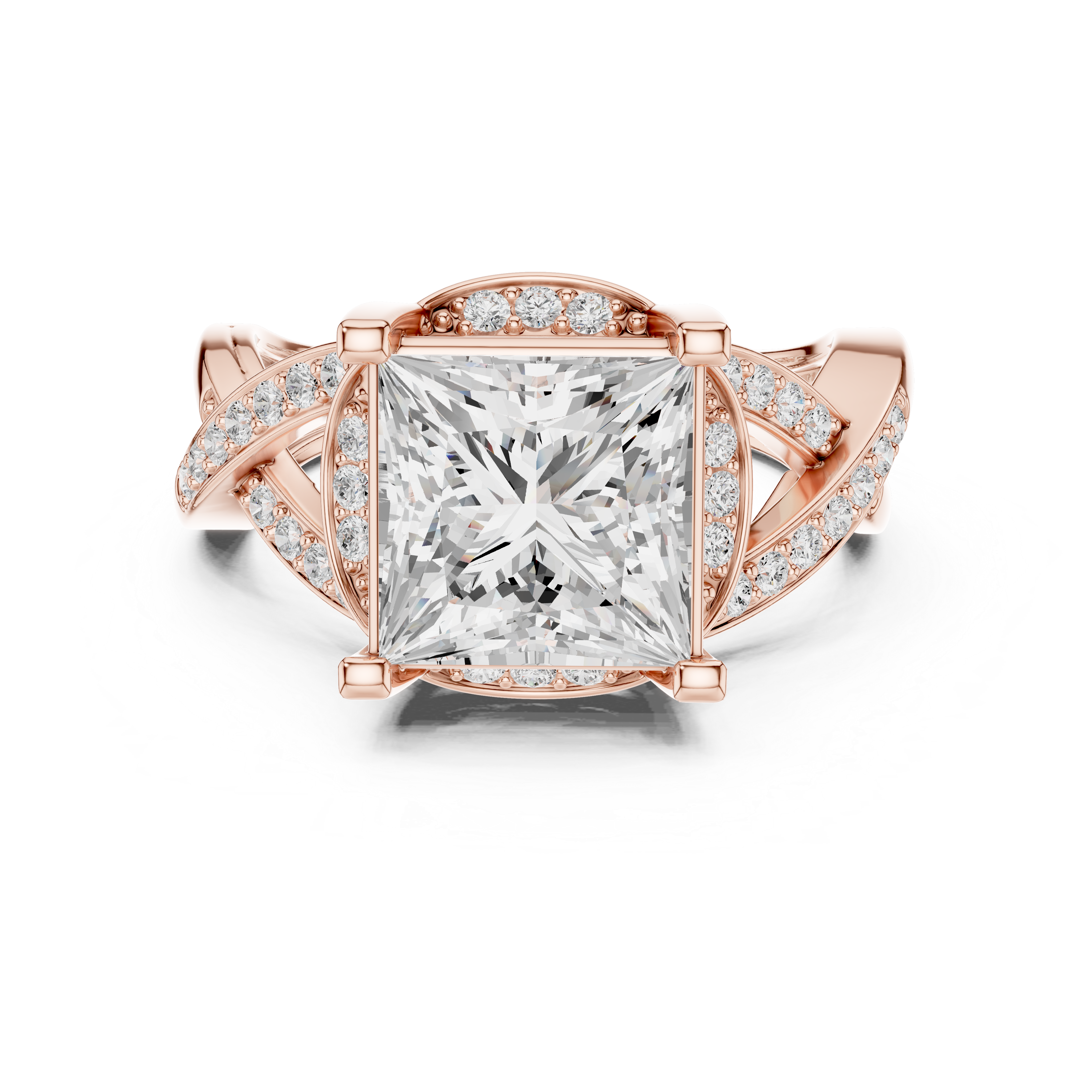 ÉTERNELLE | The Intertwine