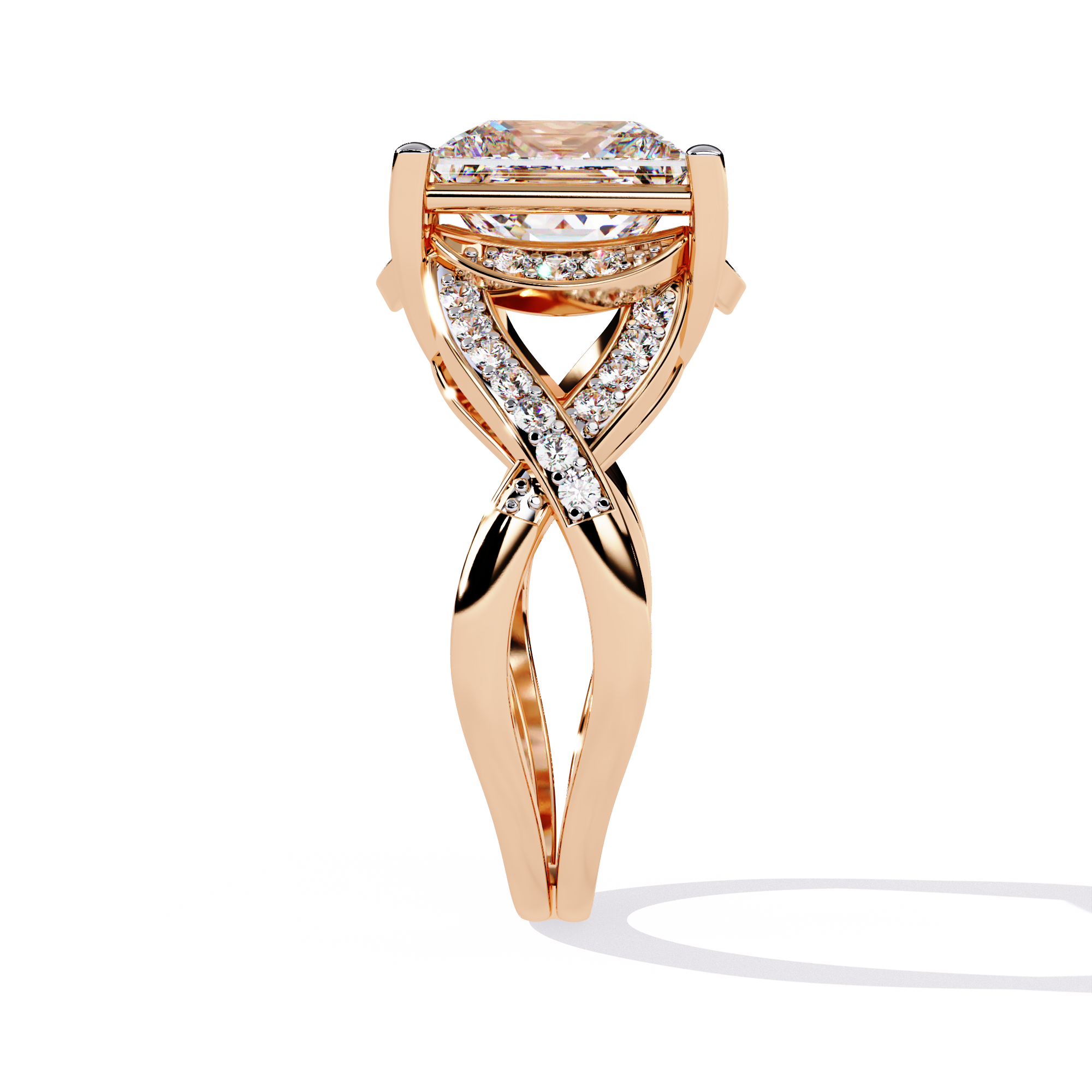 ÉTERNELLE | The Intertwine