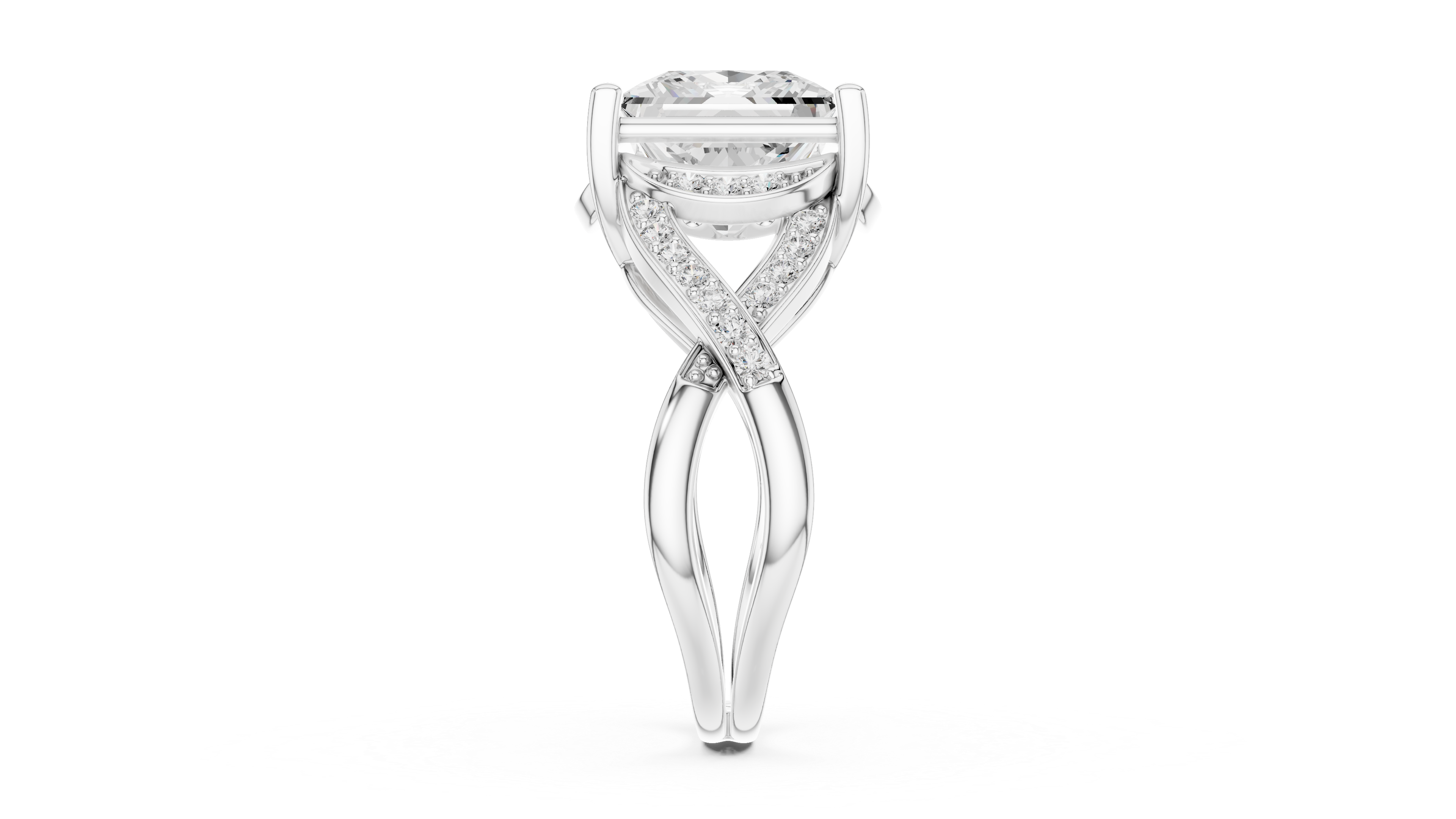 ÉTERNELLE | The Intertwine