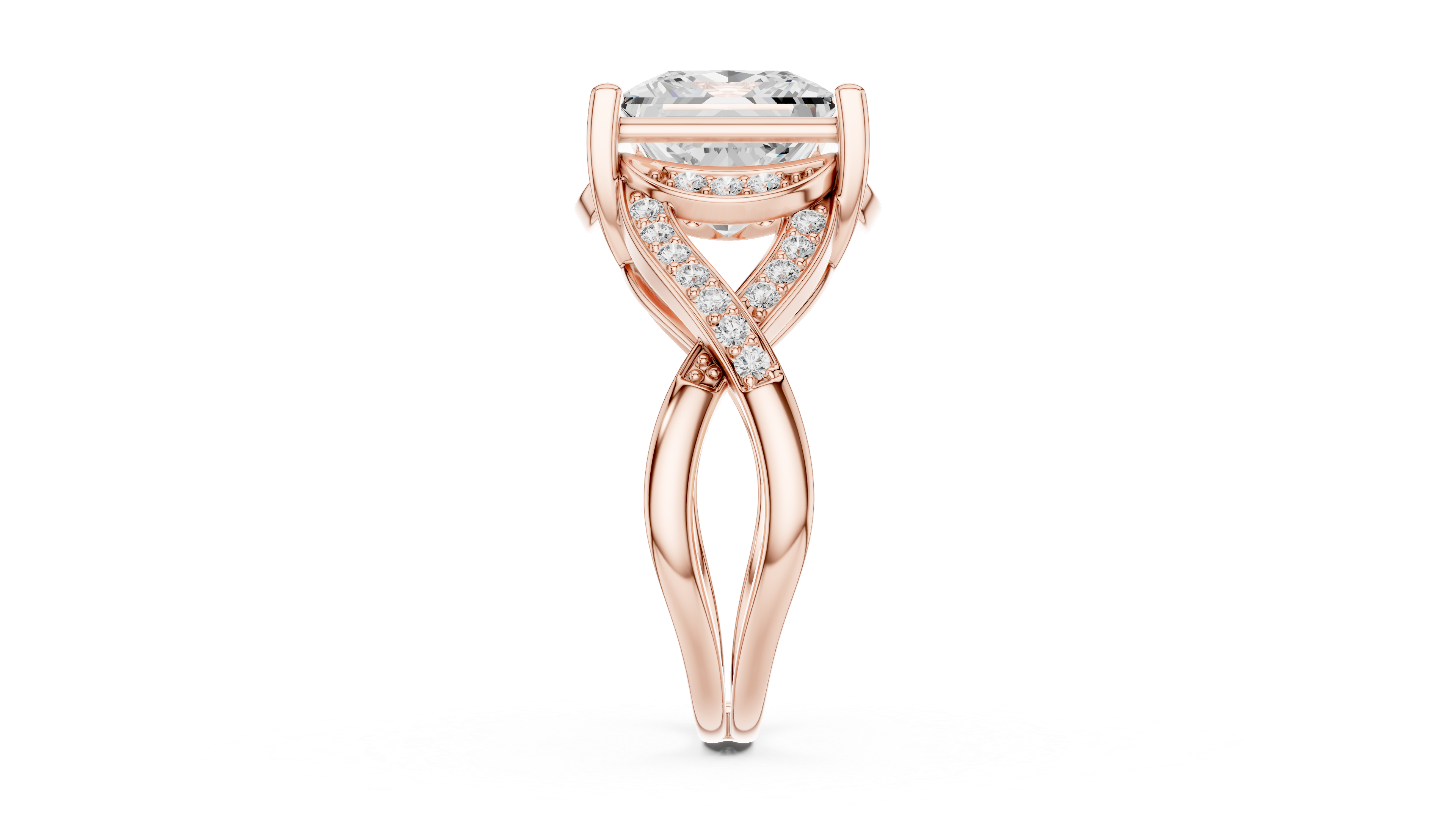 ÉTERNELLE | The Intertwine